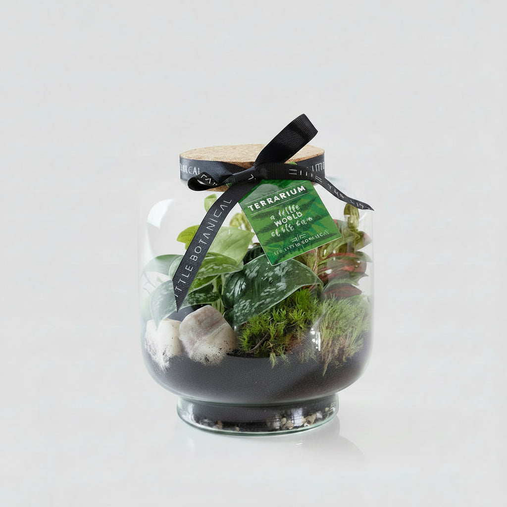 Round Glass terrarium