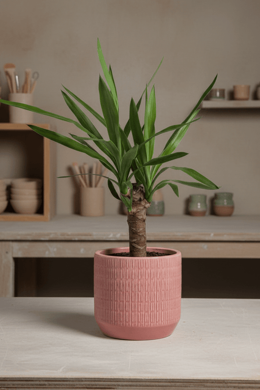 Ceramic Art: Yucca | Coral Pink Geometric Ceramic Pot - Royally Rooted